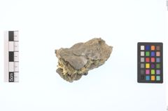 Foto von Gold (NHMW-MIN-Aa2576)